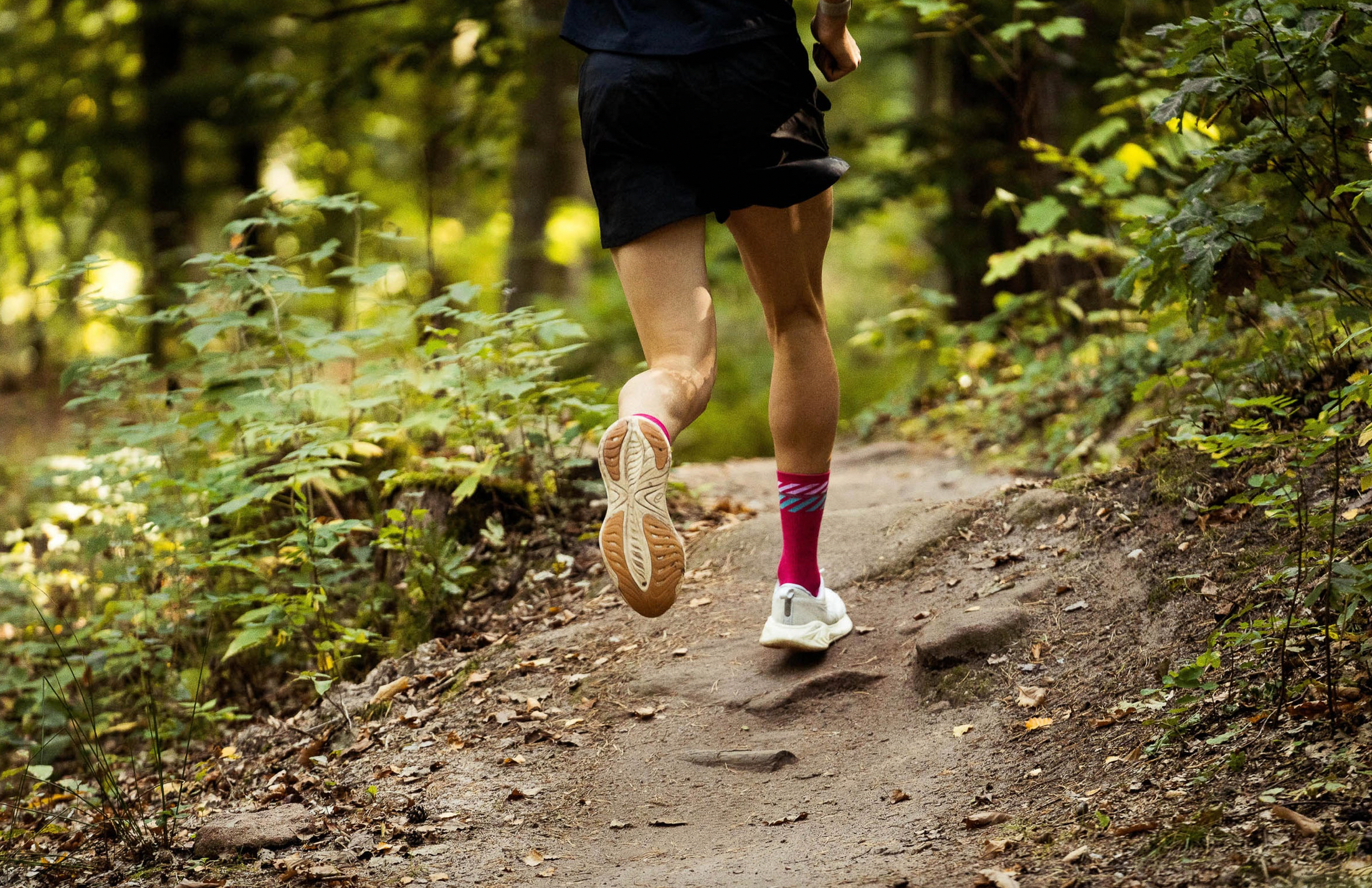 INCYLENCE MERINO LIGHT LANES GERANIO CYAN