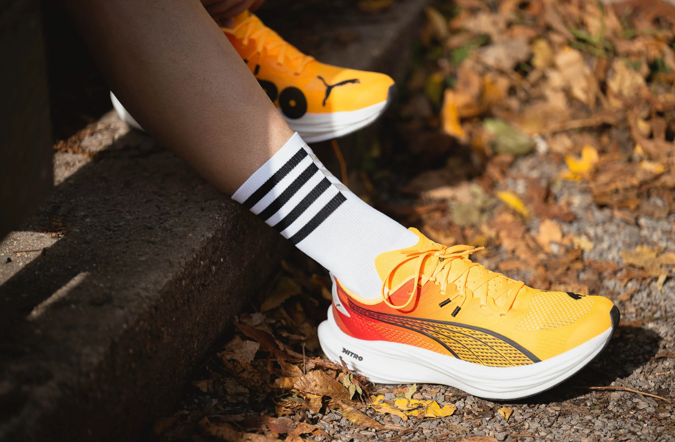 INCYLENCE RENEWED 97 IMPACT WHITE